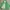 Vintage Streetwear Harrington jacket Pria green photo 1