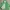 Vintage Streetwear Harrington Jacket Pria Green