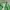 Vintage Streetwear Harrington jacket Pria green photo 4