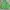 Vintage Streetwear Harrington jacket Pria green photo 2