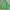 Vintage Streetwear Harrington Jacket Pria Green