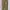 Crocodile Vintage Y2K Casual pants Pria green photo 2