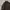Skater Sportswear Sweatshirt Pria brown photo 2