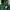 Nike Vintage Y2K Hoody Pria green photo 3