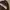 Nike Vintage Y2K Track jacket Pria brown photo 2