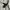 GAP Streetwear Jumper Pria gray photo 3