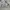 GAP Streetwear Jumper Pria gray photo 4