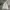 GAP Streetwear Jumper Pria gray photo 1
