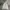 GAP Streetwear Jumper Pria Gray