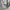 Adidas Sportswear Hoody Pria gray photo 3
