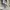 Adidas Sportswear Hoody Pria gray photo 4