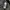 Adidas Sportswear Sweater Pria black photo 4