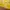 Versace Y2K Avant Garde Bomber jacket Wanita yellow photo 5
