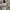 Casual Trench coat Wanita black gray photo 4