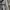 Casual Trench coat Wanita black gray photo 3