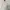 Minimalist Casual Sweater Wanita white photo 1
