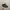 Yeezy Casual Sneakers Pria gray photo 1