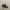 Yeezy Casual Sneakers Pria Gray