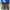 Yeezy Casual Sneakers Pria gray photo 4
