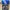 Yeezy Casual Sneakers Pria gray photo 5