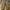 Yeezy Casual Sneakers Pria gray photo 7
