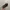 Yeezy Casual Sneakers Pria gray photo 2