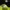thisisneverthat Streetwear Y2K Sweatshirt Pria green black photo 8
