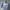 Japanese brand Vintage Sportswear Windbreaker Pria blue photo 7