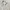 Vintage Streetwear Track jacket Pria cream photo 3