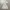 Cottagecore Summer Dress Wanita Multicolor White