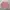ADA Fashion Coquette Sweater Wanita pink photo 2