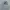Avirex Vintage Hoody Pria gray photo 1