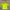 Adidas Sportswear Jersey Pria multicolor photo 2