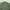 Undercover Casual Bomber jacket Pria green photo 3