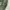 Undercover Casual Bomber jacket Pria green photo 6