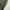 Undercover Casual Bomber jacket Pria green photo 8