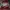 Nike Air Jordan Reworked Sweater Pria red photo 1
