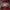 Nike Air Jordan Reworked Sweater Pria Red