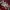 Nike Air Jordan Reworked Sweater Pria red photo 5
