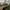 GAP Streetwear Wide leg jeans Wanita green photo 2