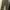 GAP Streetwear Wide leg jeans Wanita green photo 1