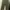 GAP Streetwear Wide Leg Jeans Wanita Green