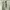 Nike Y2K Hoody Pria gray photo 3