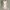 Forever 21 Casual Maxi dress Wanita brown photo 1