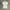 Casual Shirt Wanita multicolor photo 1