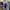 Japanese brand Casual Harrington jacket Pria navy photo 5