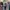 Japanese brand Casual Harrington jacket Pria multicolor photo 5