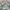 Japanese brand Casual Harrington jacket Pria multicolor photo 3