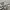 Mind Bridge Casual Harrington jacket Pria cream photo 5
