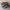 Salomon Gorpcore Casual Sneakers Pria silver black photo 2